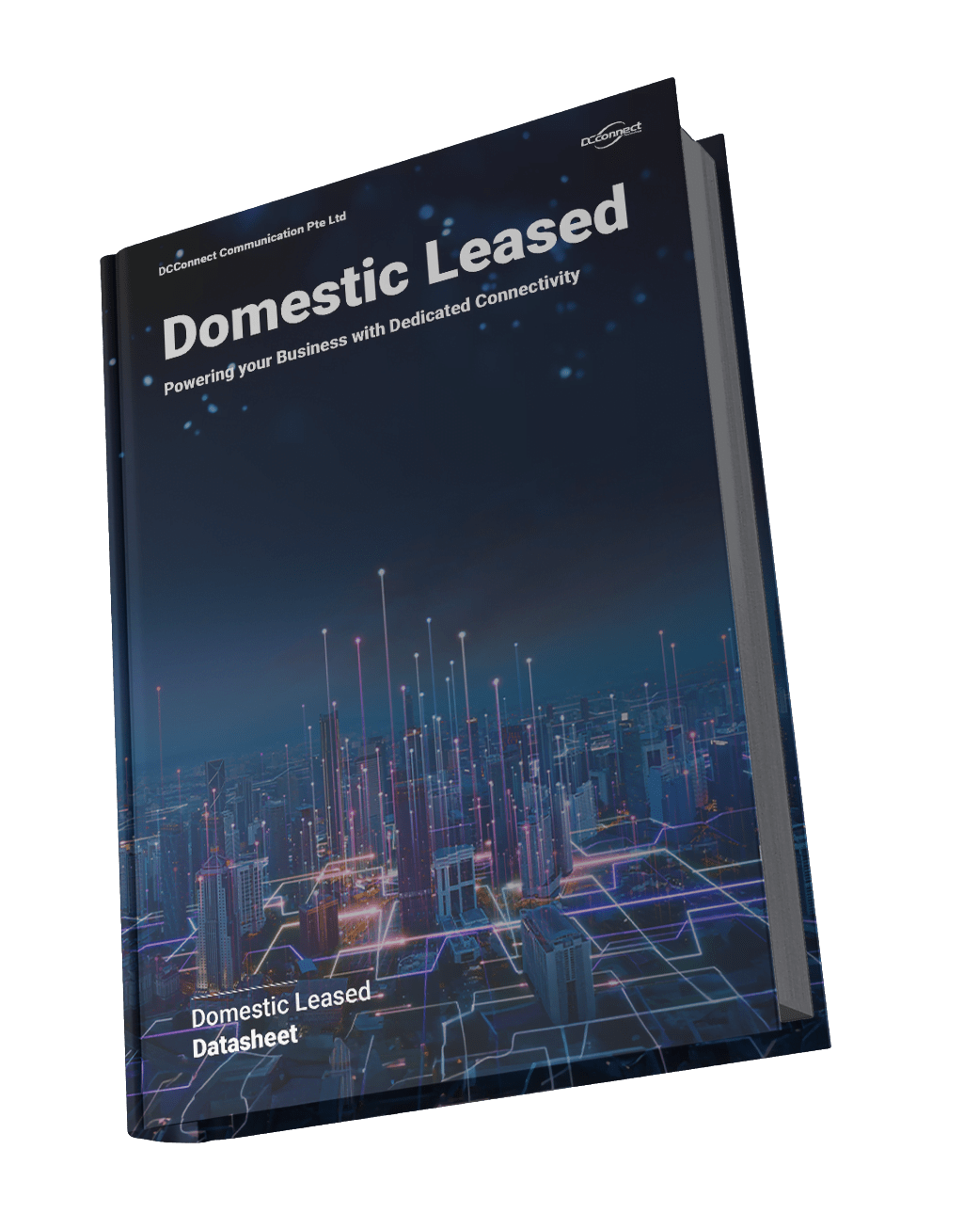 Domestic Leased Domestic Leased